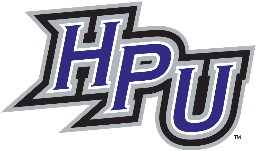 High Point Panthers 2004-Pres Alternate Logo v2 iron on transfers for fabric